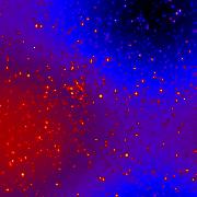 IRAC Calibrated Image Data