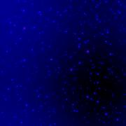 IRAC Ghost Image Data