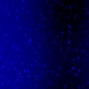IRAC Latent Image