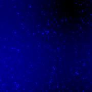 IRAC Latent Image